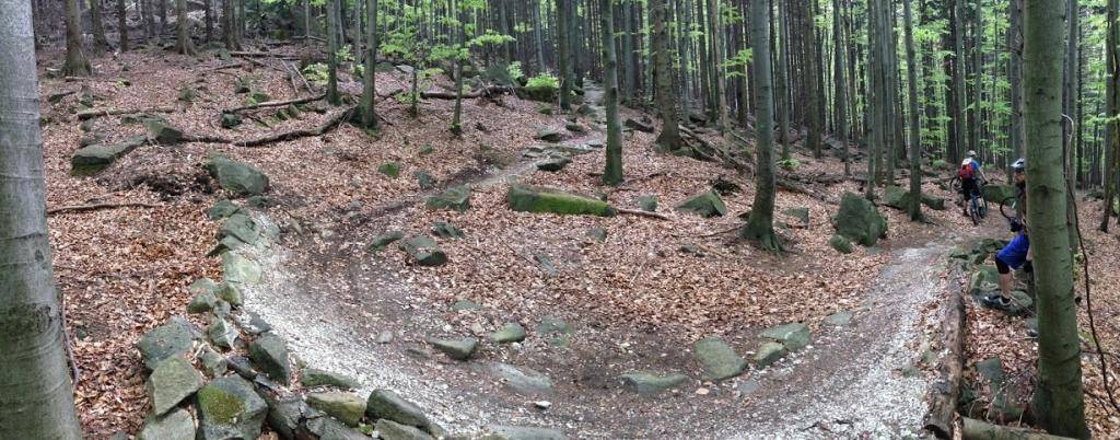 Rychlebské stezky - Biskupský, Tajemný, Mramorový, Sjezdy