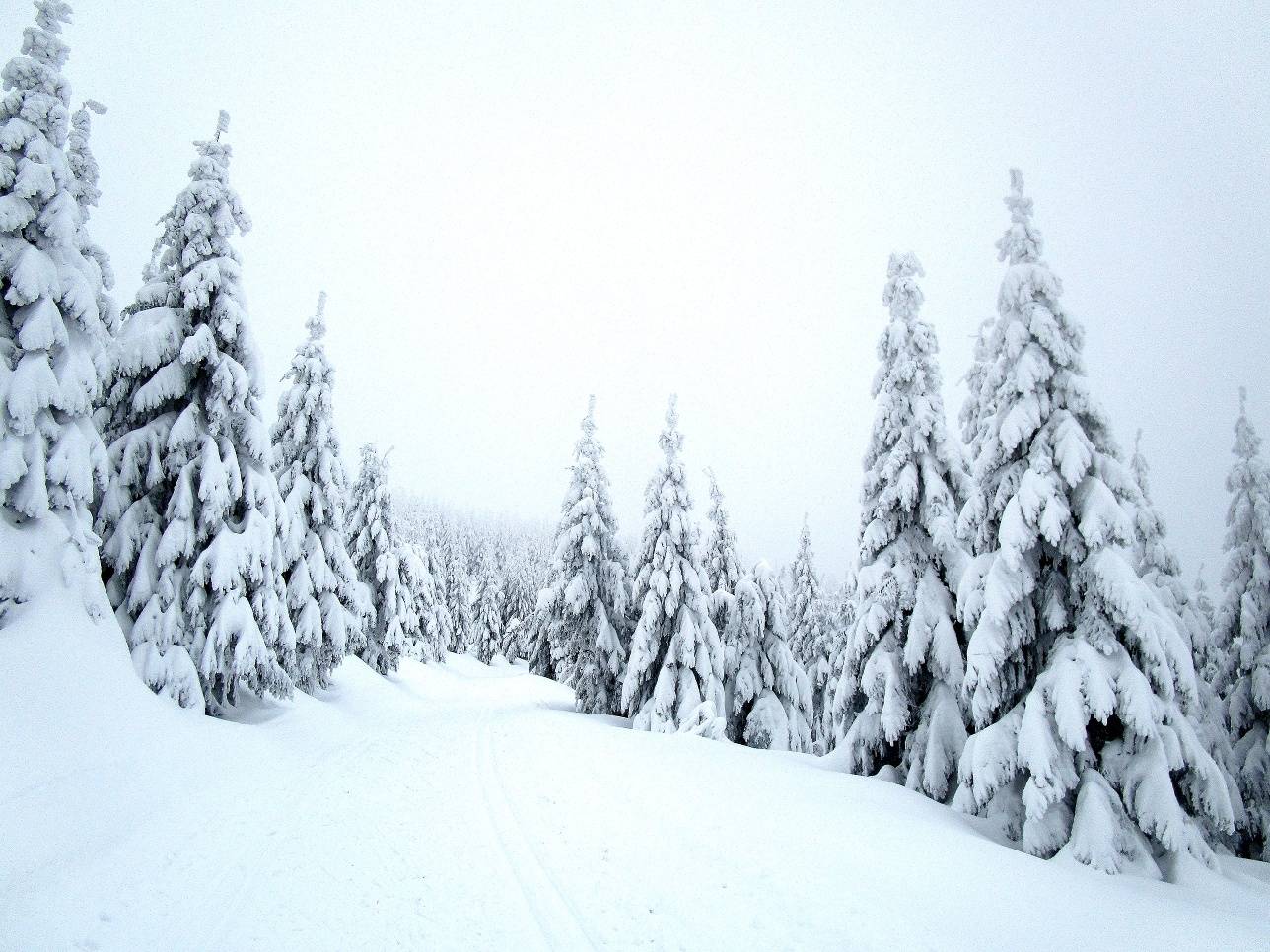 Ski Kunčice - Chlupenkovec