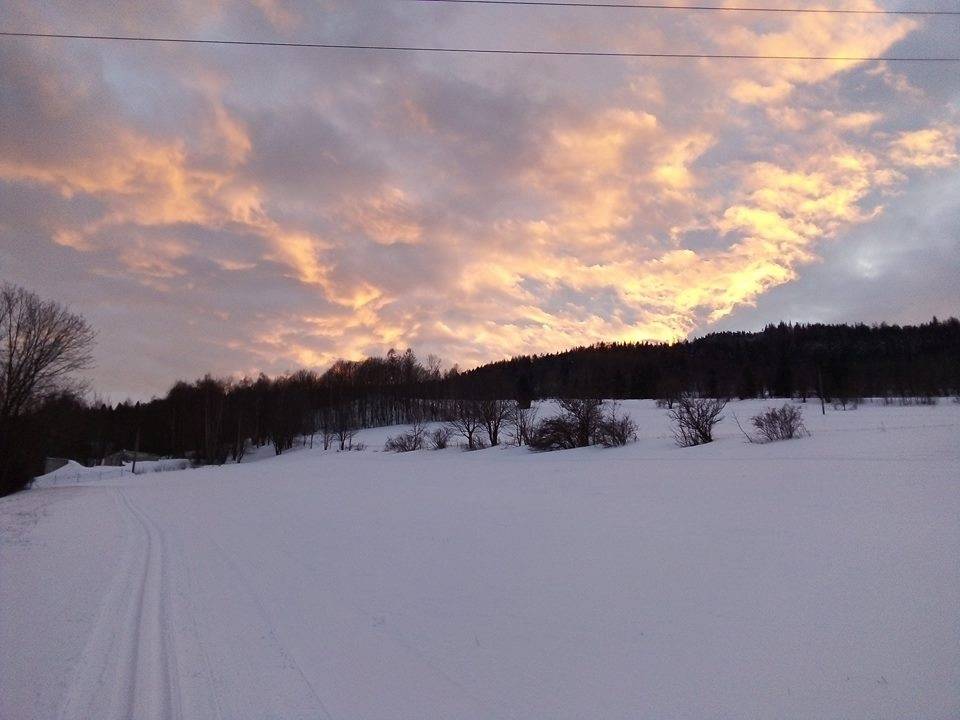 Lyžařské běžecké trasy Vrbno pod Pradědem