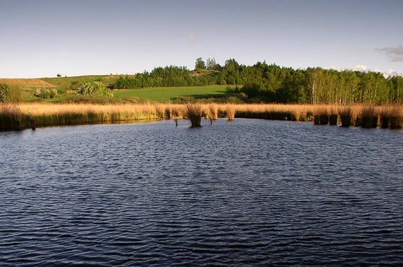 Vidnavské mokřiny
