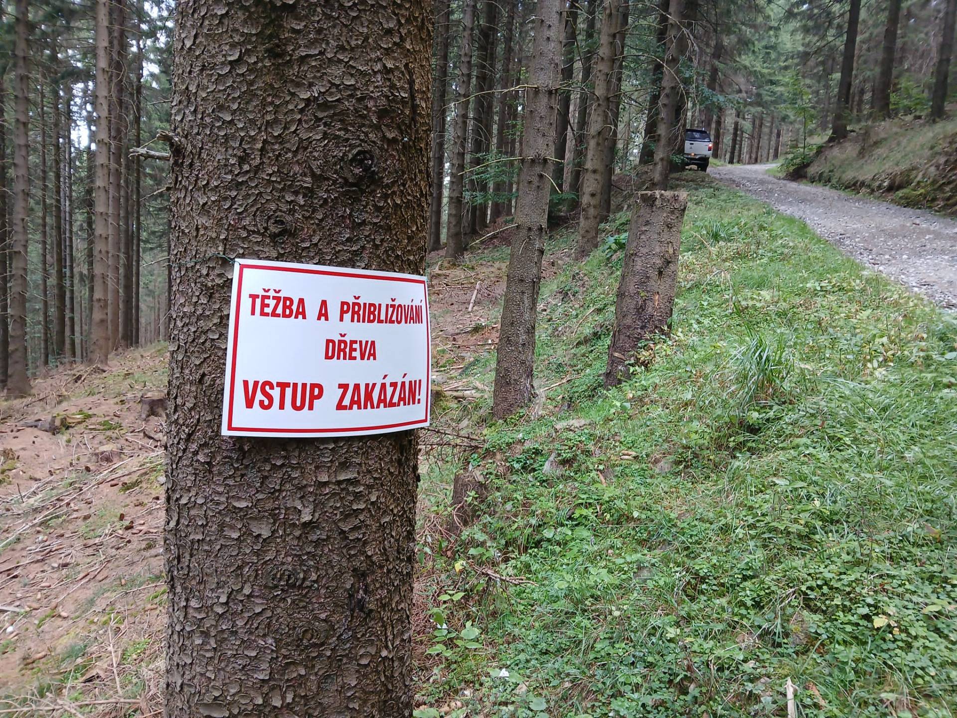 Těžba dřeva v úseku „ Nad Dobrou Vodou – Čerňava lanovka“