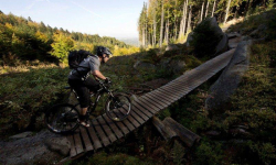 Rychleby Trails - Trail Dr. Wiessnera