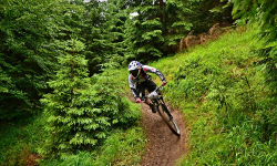 Kouty - Stará medvědice