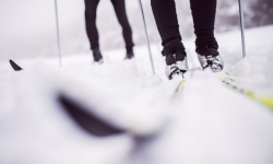 Ostržná (U líp - Pod Hřebeňákem)