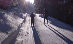 Okruh přes Alfrédku