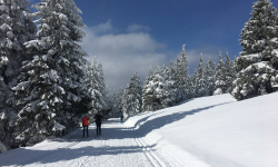 Karlov - Mravencovka