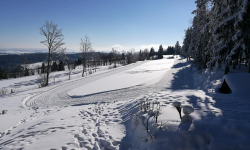 Okruh louky 2800 metrů