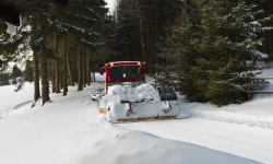 Červený lesní okruh