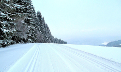 Peryho okruh - žlutý