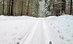 Peryho okruh - červený