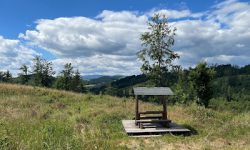 Záznam není přeložen