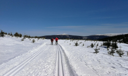 Záznam není přeložen