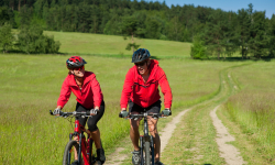 Záznam není přeložen