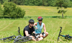 Záznam není přeložen