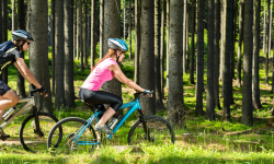 Záznam není přeložen