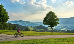 Záznam není přeložen