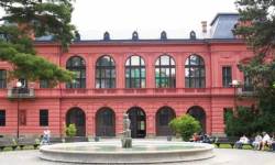 Natural History Museum