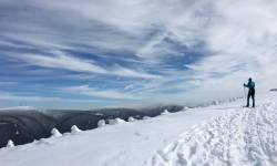 Lyžařské běžecké trasy Kouty nad Desnou