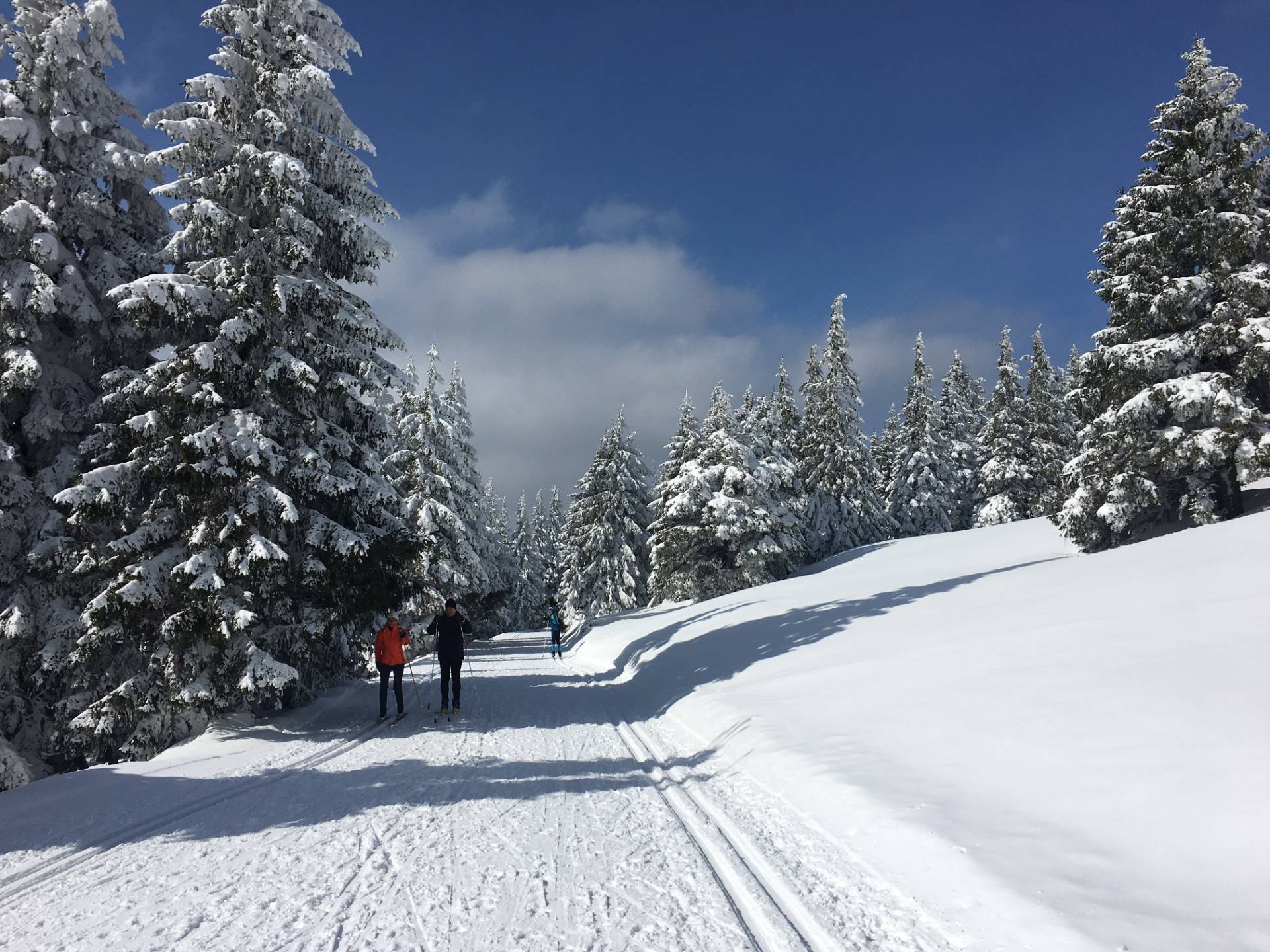 Ski-Langlaufloipen Elf