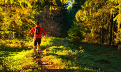 Rejvíz - okruh přes Kazatelny