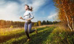 Okruh přes Boží horu a Rychlebské lomy