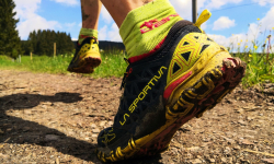 Okruh od Pramenů Opavice na Příčnou horu