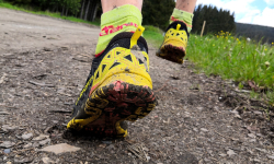 Skřítek - okolo Černých kamenů