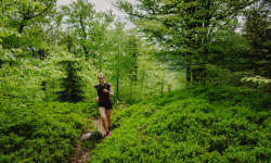 Žďárský potok - Mravencovka - Nová Ves a zpět