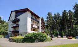 Hotel Andromeda, Ramzová