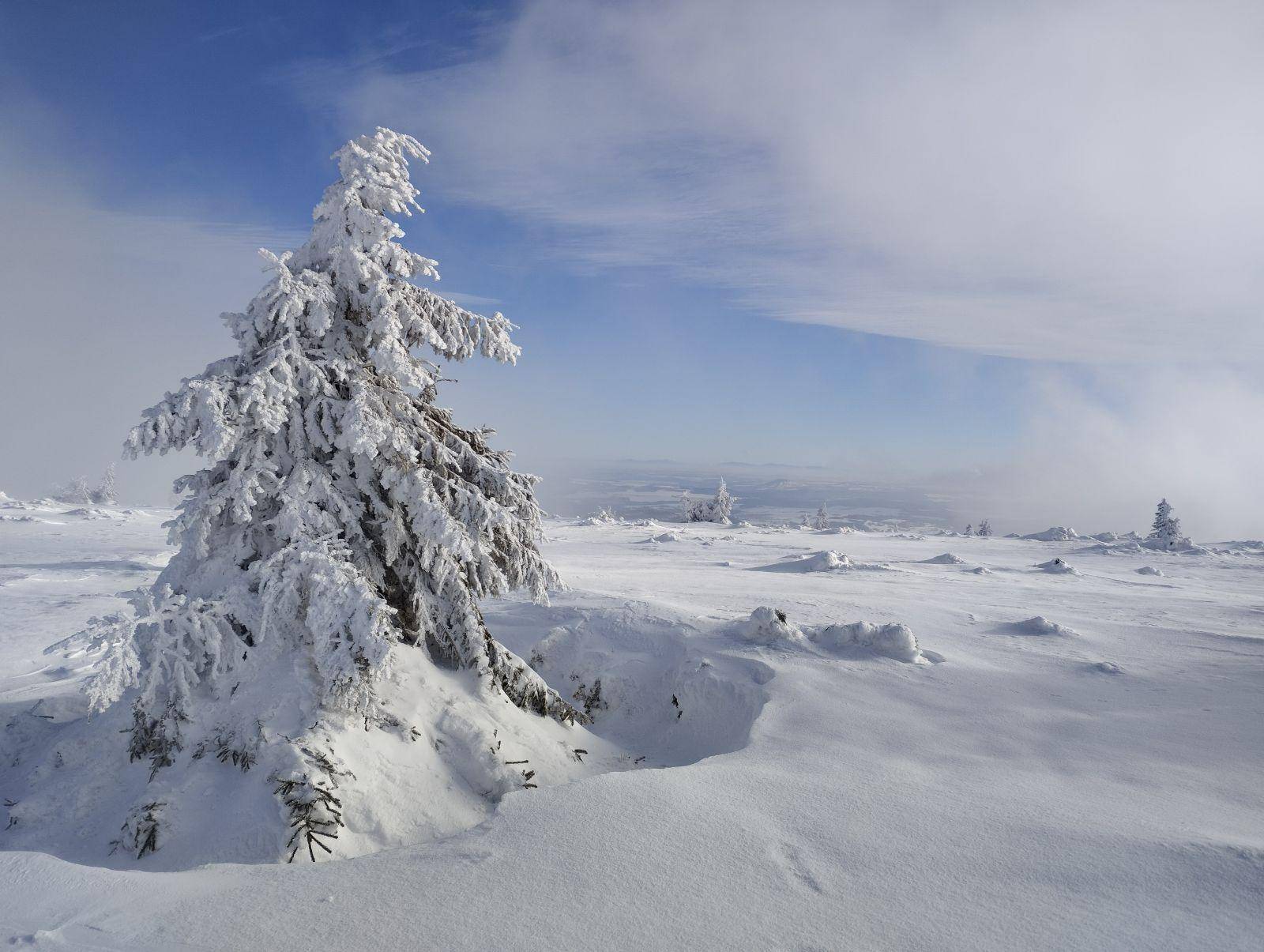 Zima kouzlí na vrcholech Jeseníků
