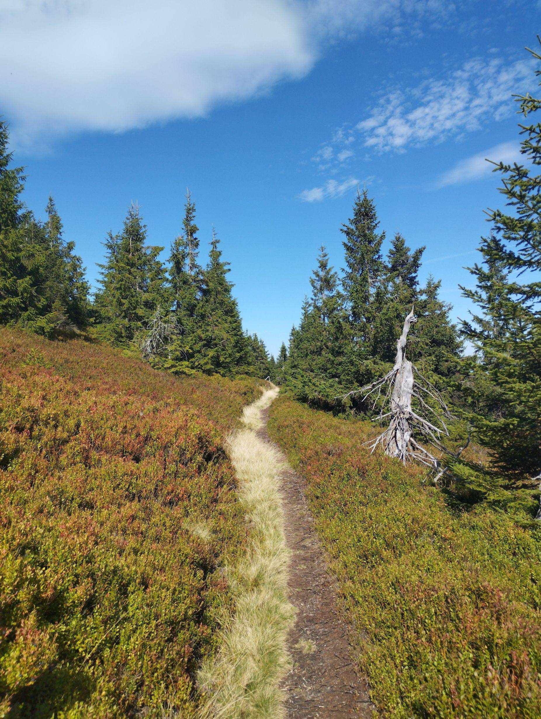 Letní turistika Jeseníky