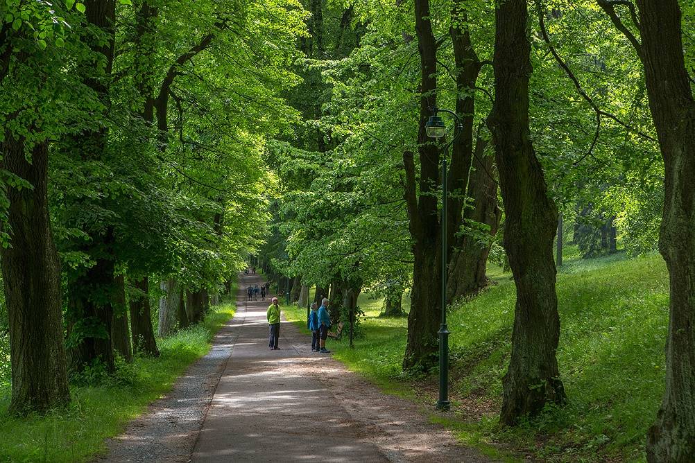 Promenada Rippera