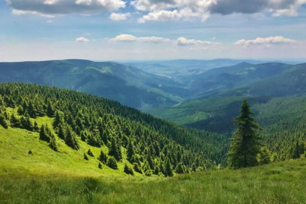 Na vrchol Králického Sněžníku