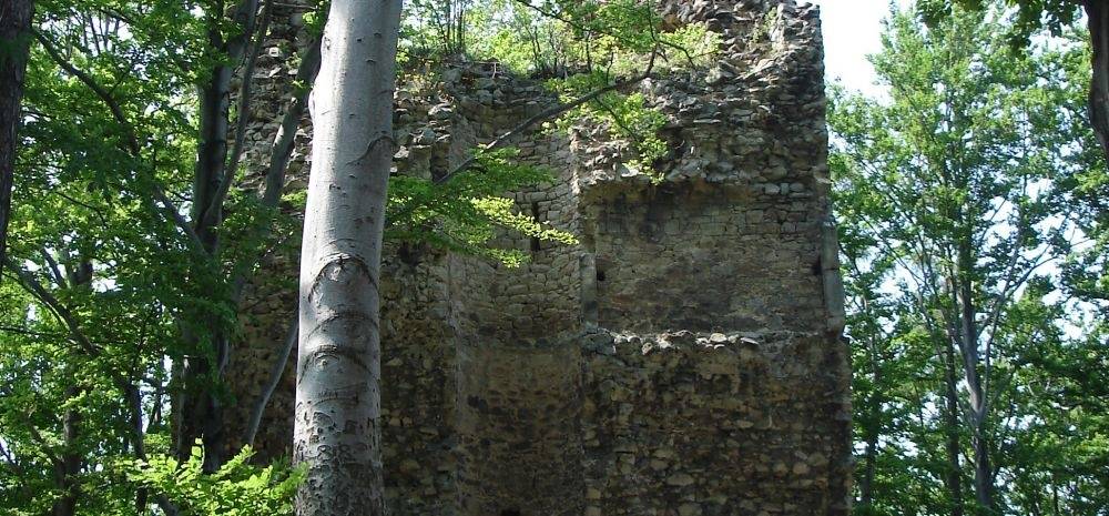 Ruiny Grodziska - Kaltenštejn