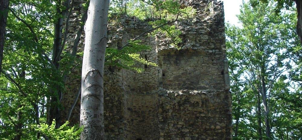 Burgruine Hradisko - Kaltenštejn