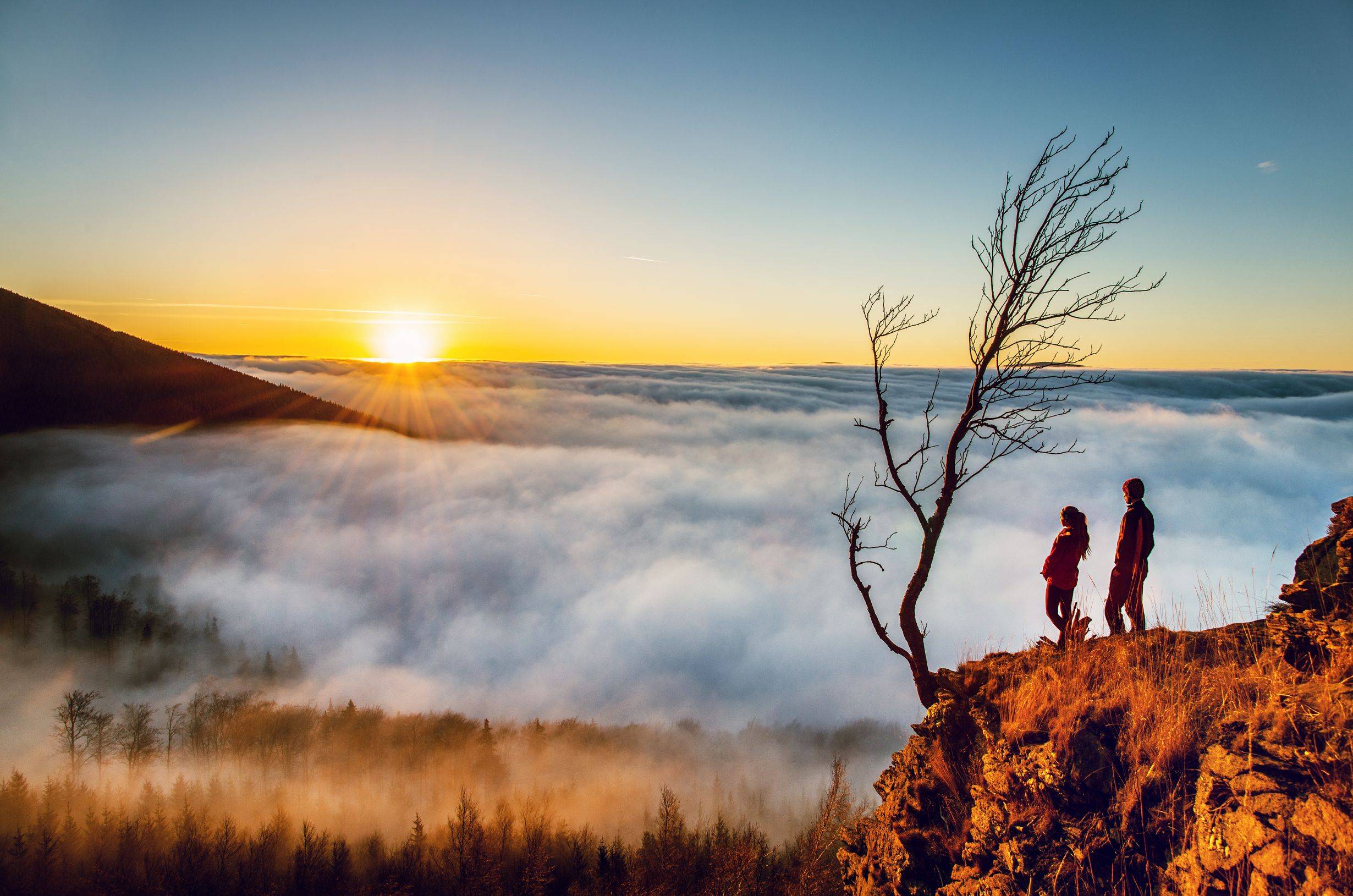 Záznam není přeložen