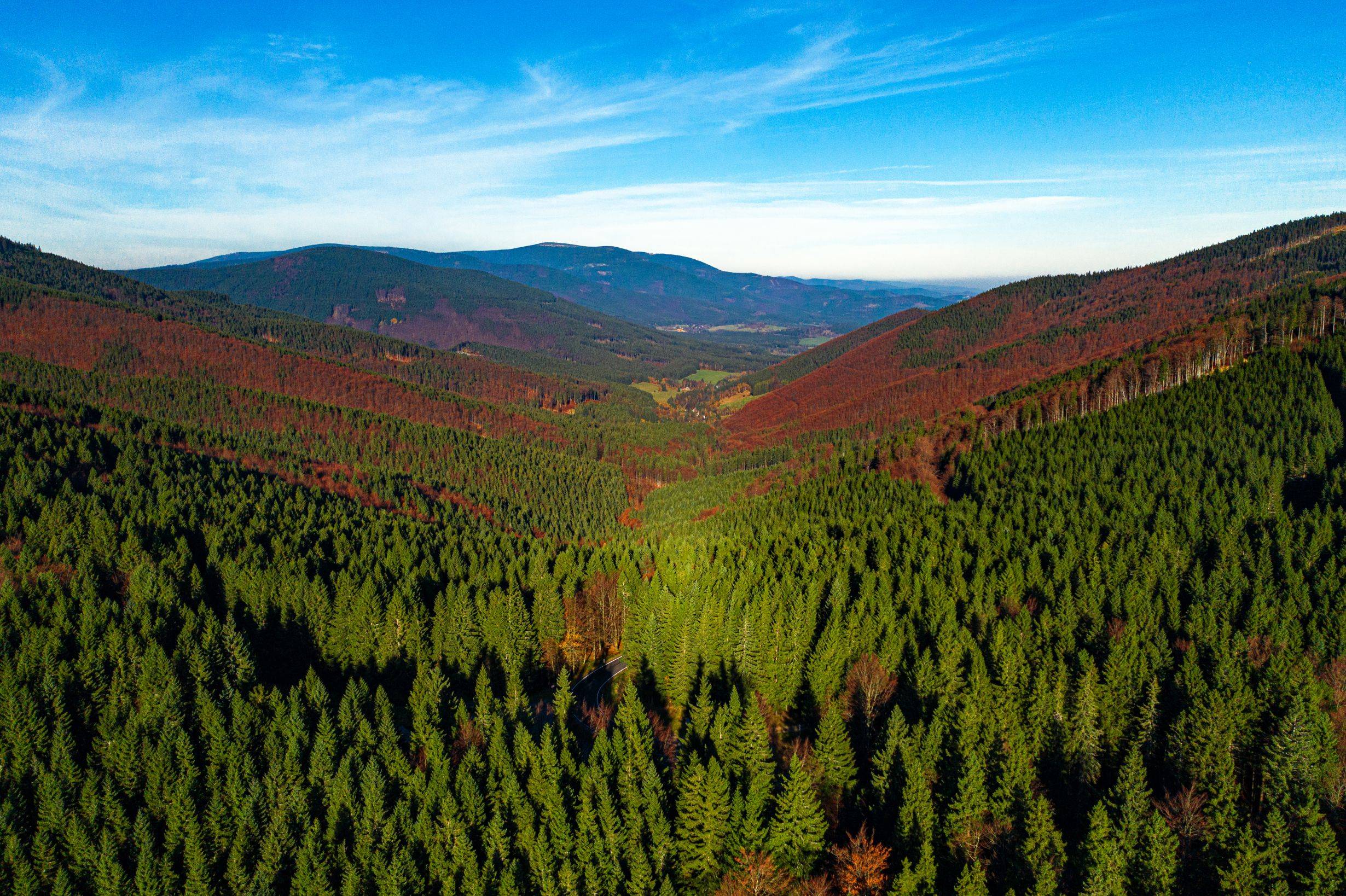 Záznam není přeložen