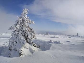 Zima kouzlí na vrcholech Jeseníků