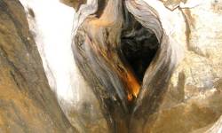 Záznam není přeložen