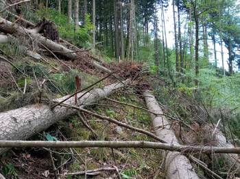 V okolí MALÉ MORAVY a osady VLASKÉ je nebezpečné vstupovat do lesů a vydávat se po značených i neznačených trasách