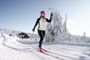 ONLINE-Status der Langlaufloipen