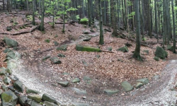 Rychlebské stezky - Prokletý, Mramorový, Sjezdy