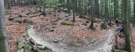 Rychlebské stezky - Biskupský, Tajemný, Mramorový, Sjezdy