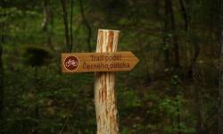 Rychleby Trails - Trail podél Černého potoka