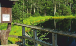 Za krásami Rejvízu na cestě z Jeseníku