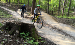 Tulinka - Dubová (modrá)