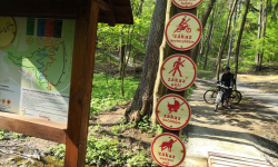 Tulinka - Hřebenová (černá)