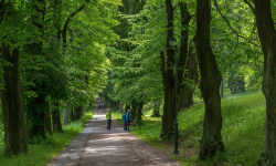 Ripperova promenáda