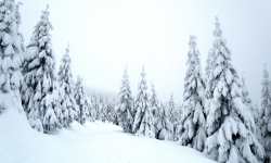 Ski Kunčice - Chlupenkovec