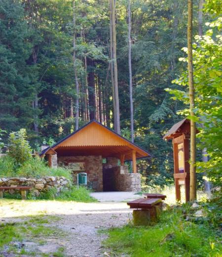 Prysznic dzięki uprzejmości